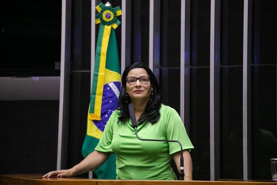 Foto da deputada federal Juliana Cardoso no plenário da Câmara dos Deputados