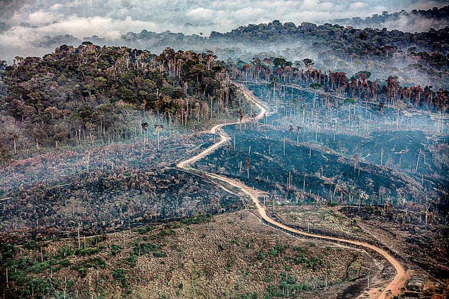 Foto aérea e parcial do desmatamento da floresta Amazônica