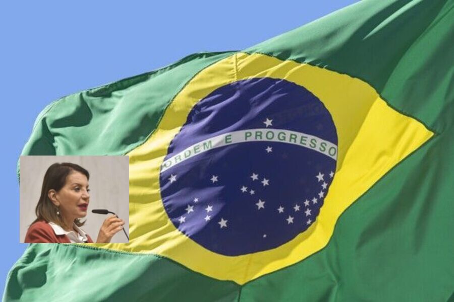 Bandeira brasileira tremula. No detalhe, foto da Deputada Estadual Professora Bebel 