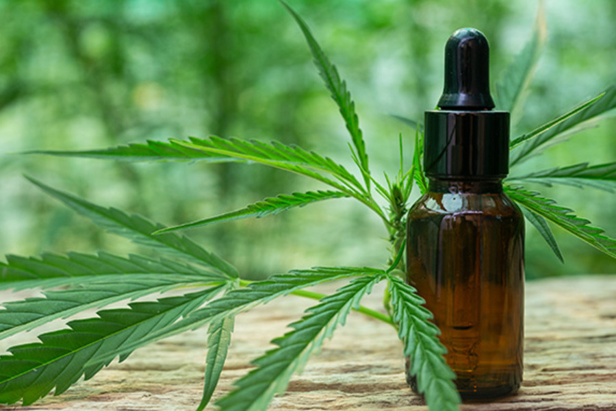 Foto da planta Cannabis ao lado de um frasco de remédio conta gotas