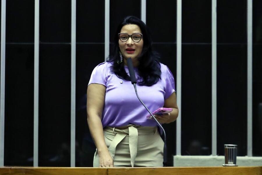 Deputada Federal Juliana Cardoso fala na tribuna da Câmara Federal