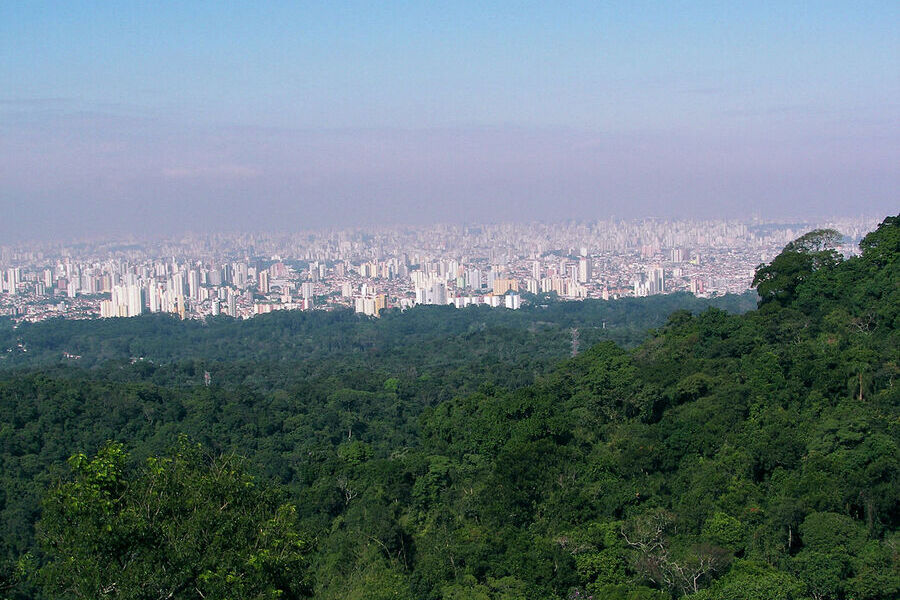 Vista aérea e parcial da Zona Norte de São Paulo
