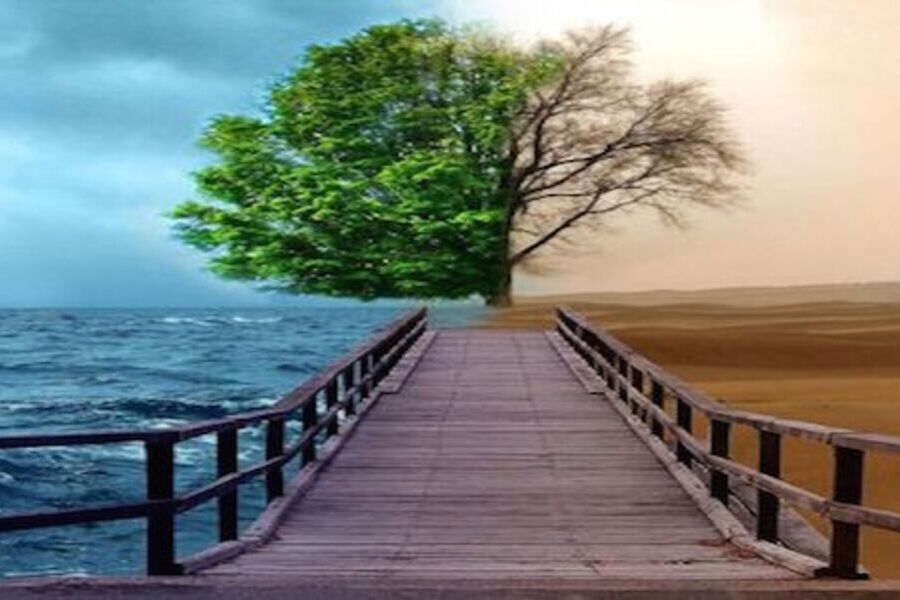 Uma ponte que vai ao encontro de uma árvore. A mesma árvore está sobre duas paisagens distintas: à esquerda, o céu está azul e vê-se o mar. Á direita, terreno arenoso e as folhas da árvores estão secas